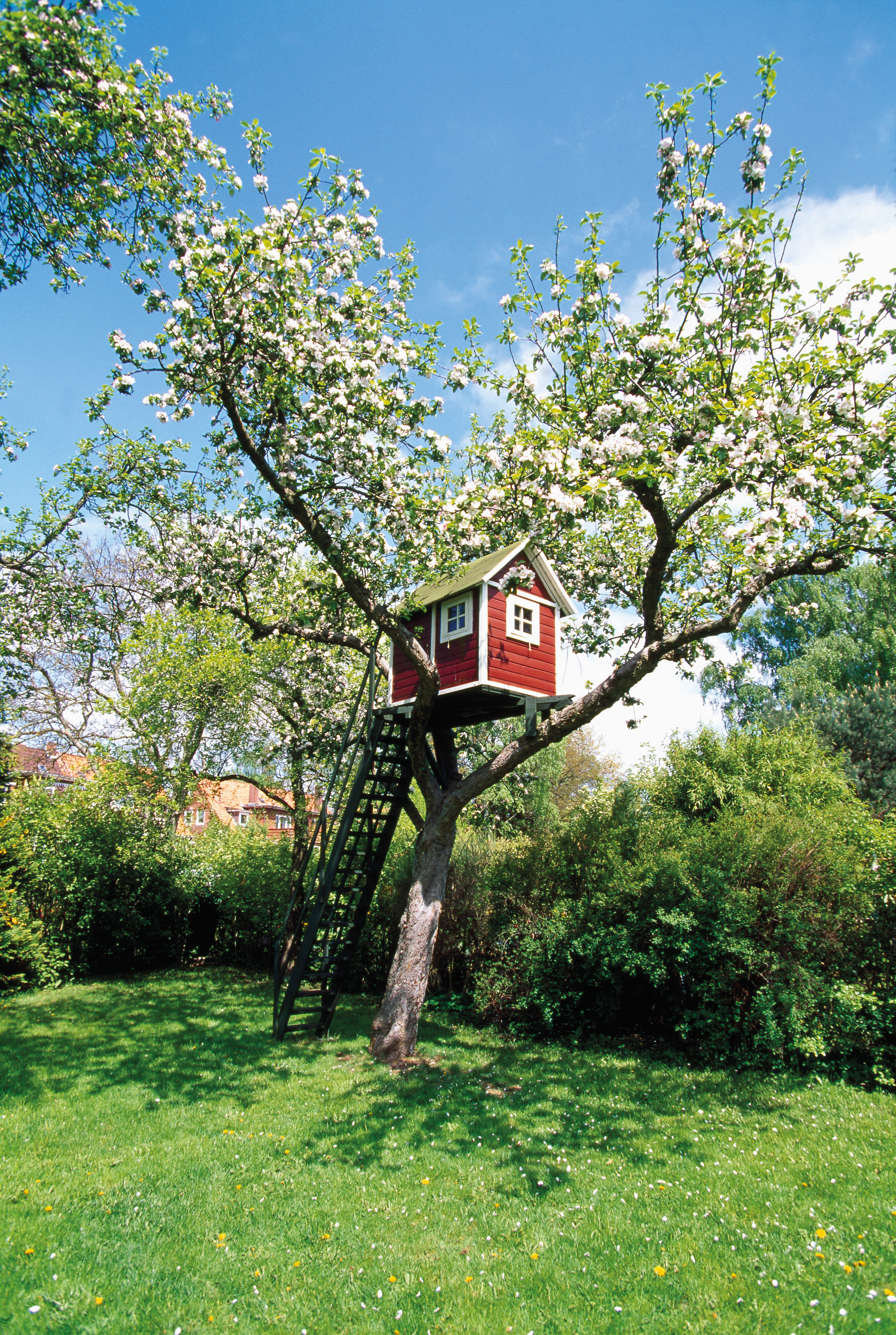 iStock_000005398972Large